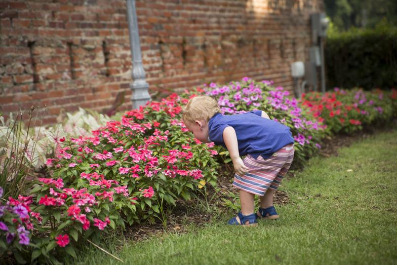 Pickett Family Chiropractic Prattville, AL 36067 Millbrook
